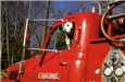 Dalmatian in Red Fire Truck